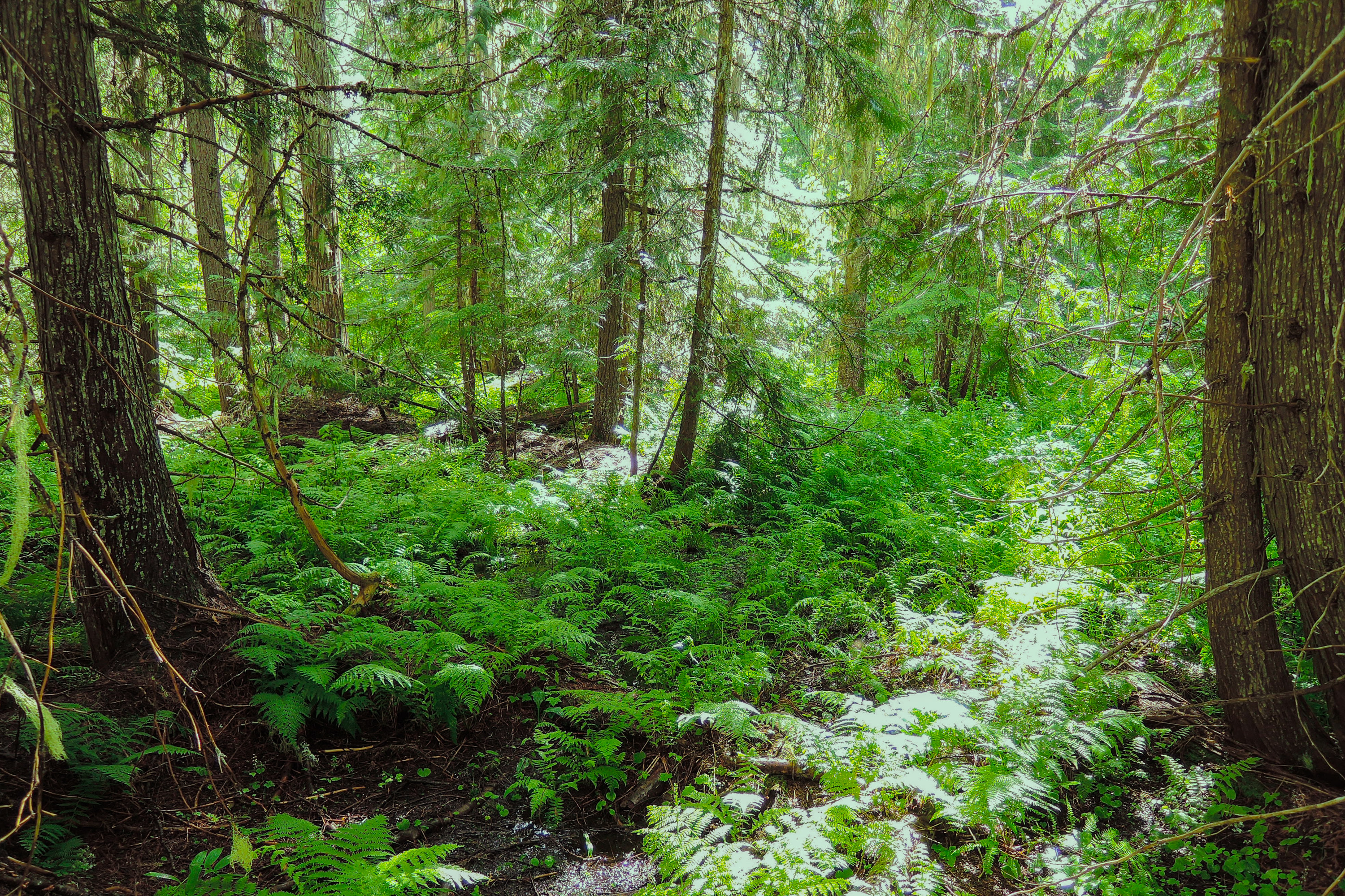 West Sullivan Campground