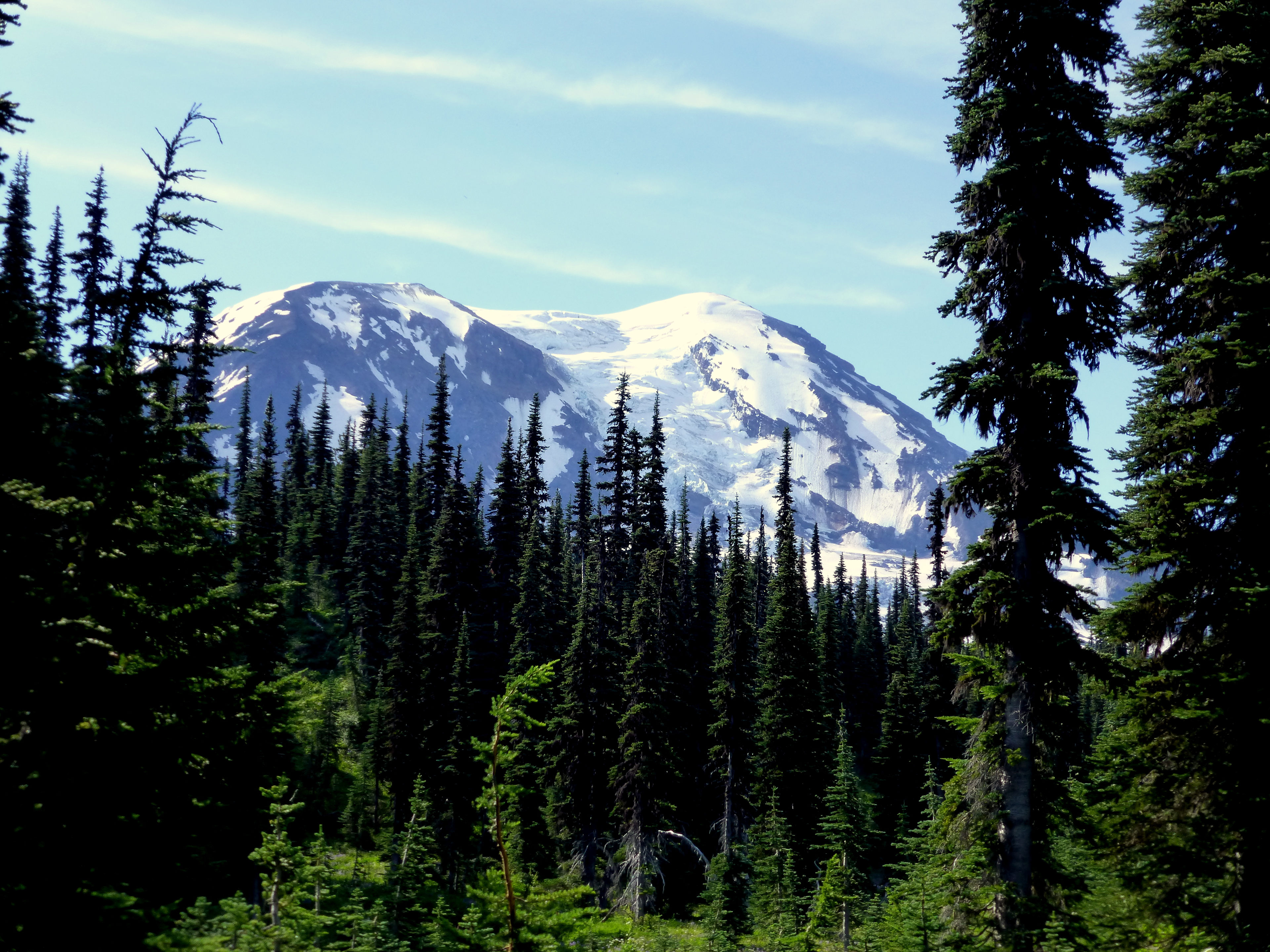 Mt. Adams Horse Camp