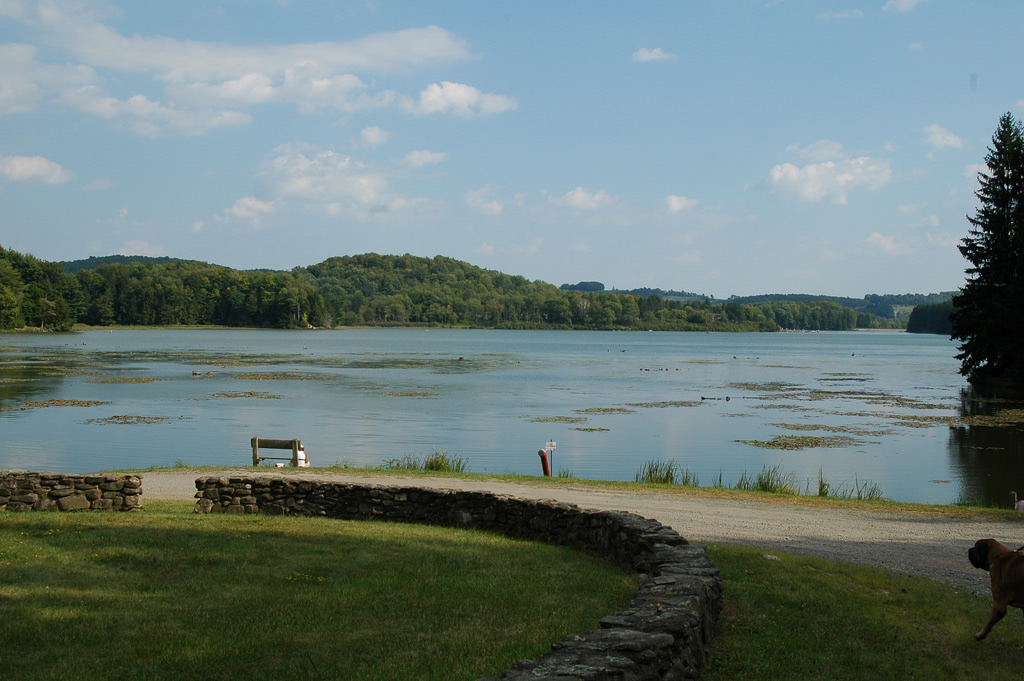Hills Creek State Park