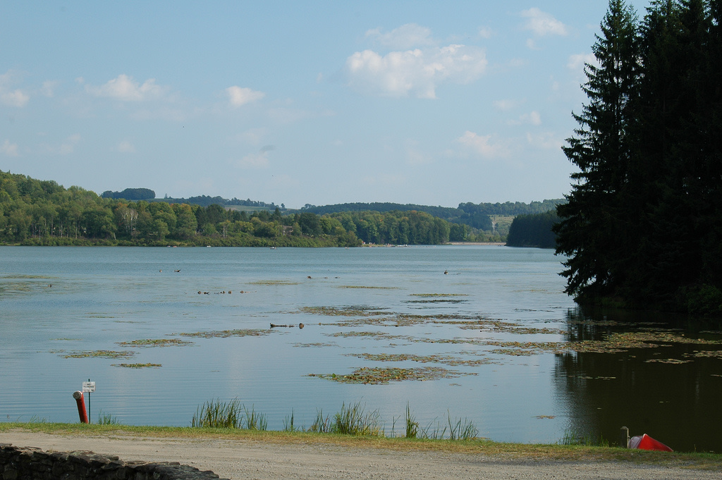 Hills Creek State Park