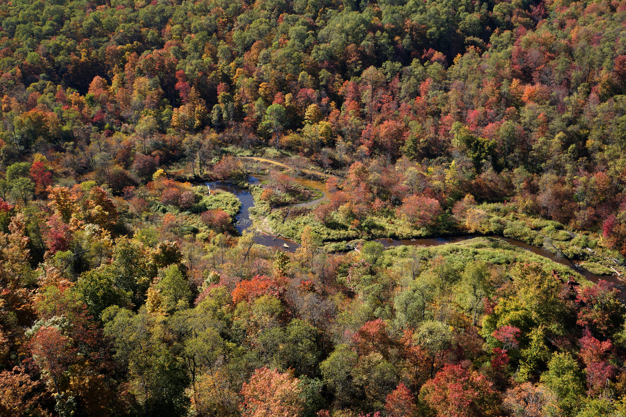 Kinzua Bridge State Park