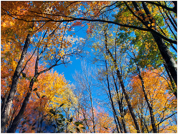 Parker Dam State Park
