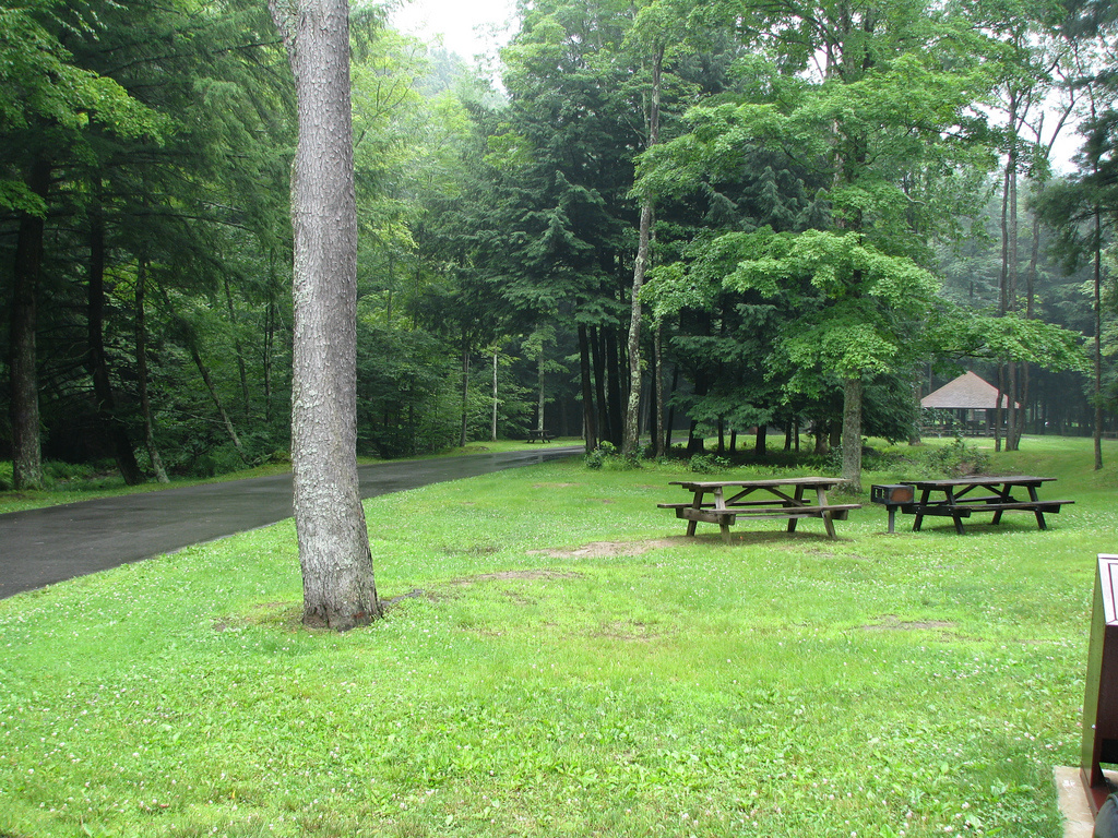 Sizerville State Park