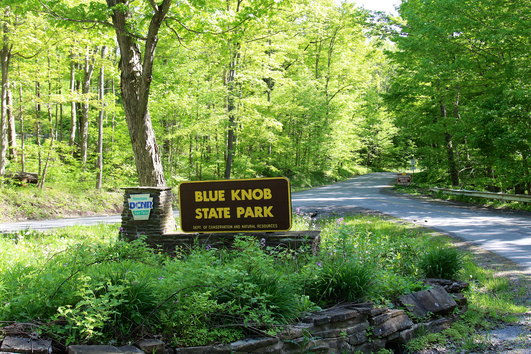 Blue Knob Park Campground