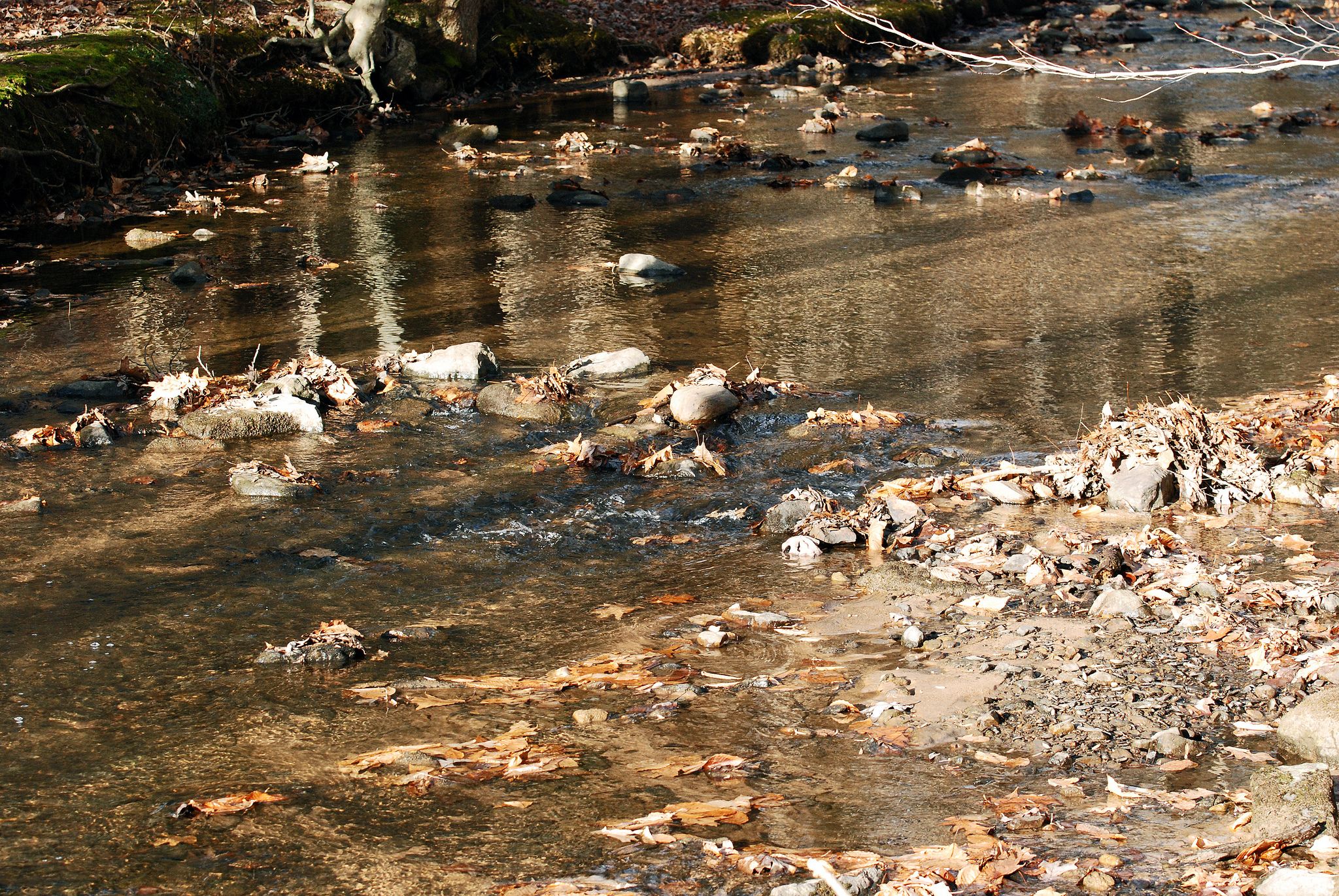 Colonel Denning State Park