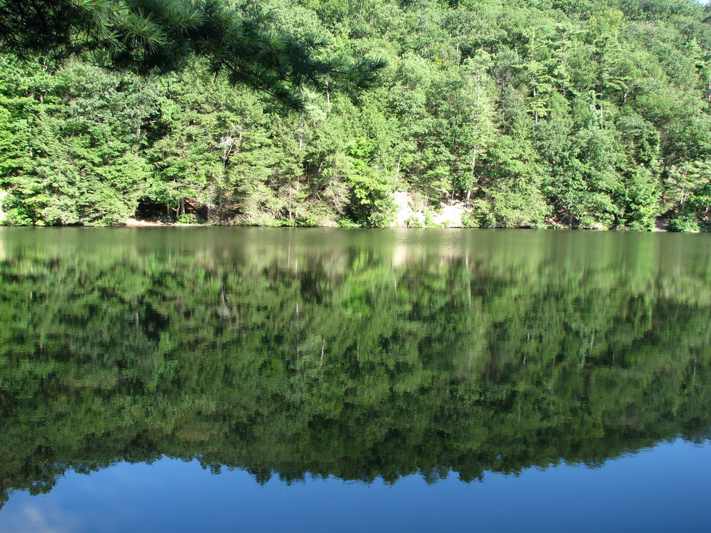 Greenwood Furnace Park Campground