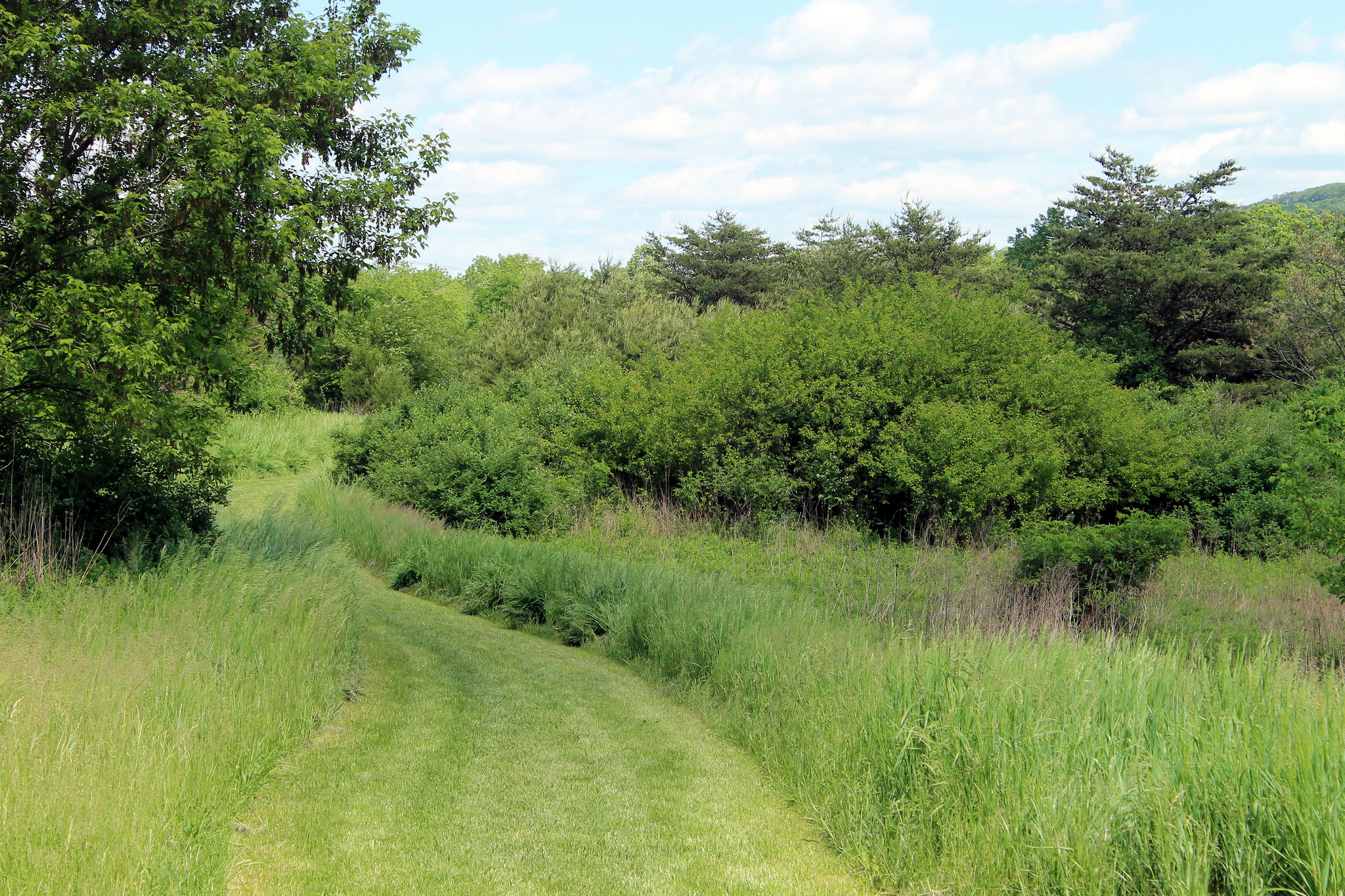 Little Buffalo Park Campground