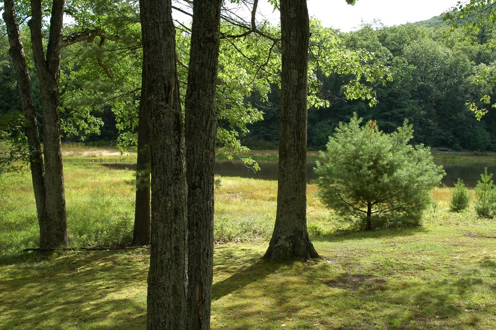Penn-Roosevelt Park Campground