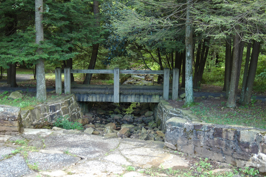 Penn-Roosevelt Park Campground