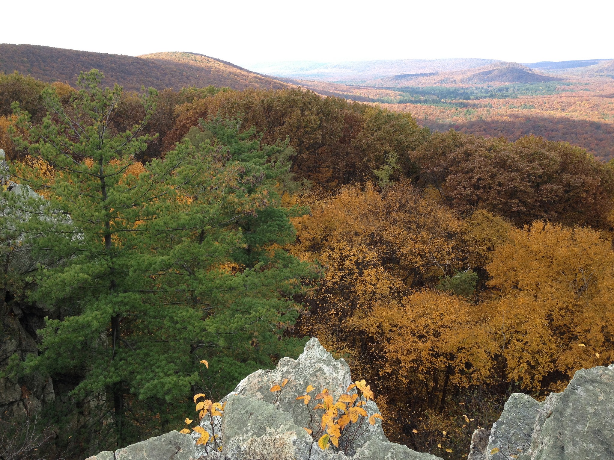 Pine Grove Furnace State Park