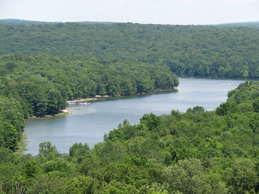Prince Gallitzin State Park