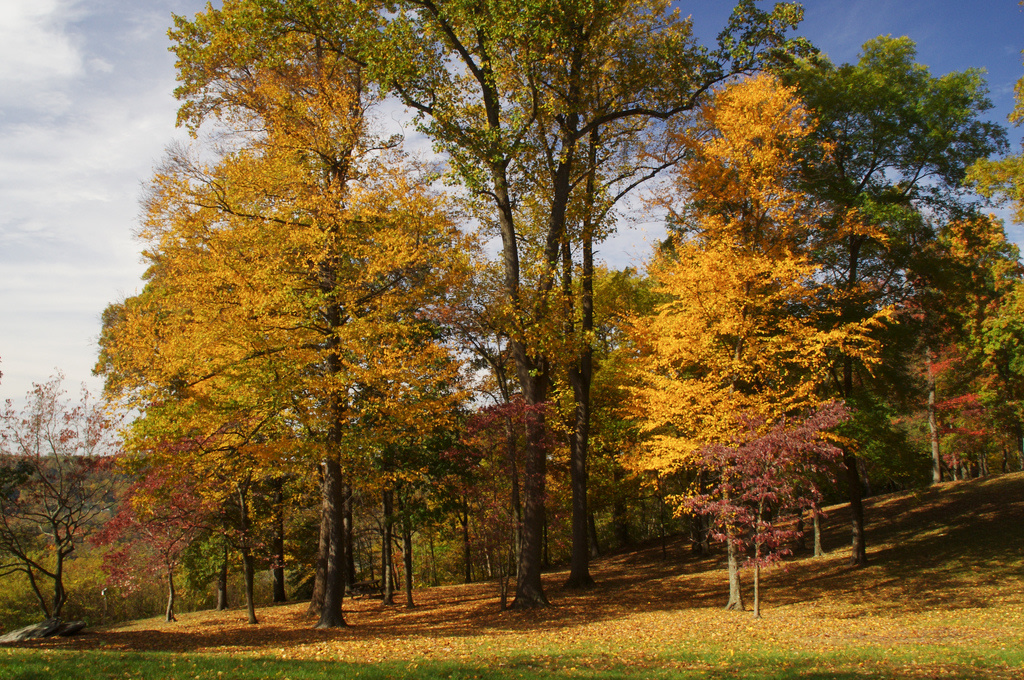Susquehannock State Park