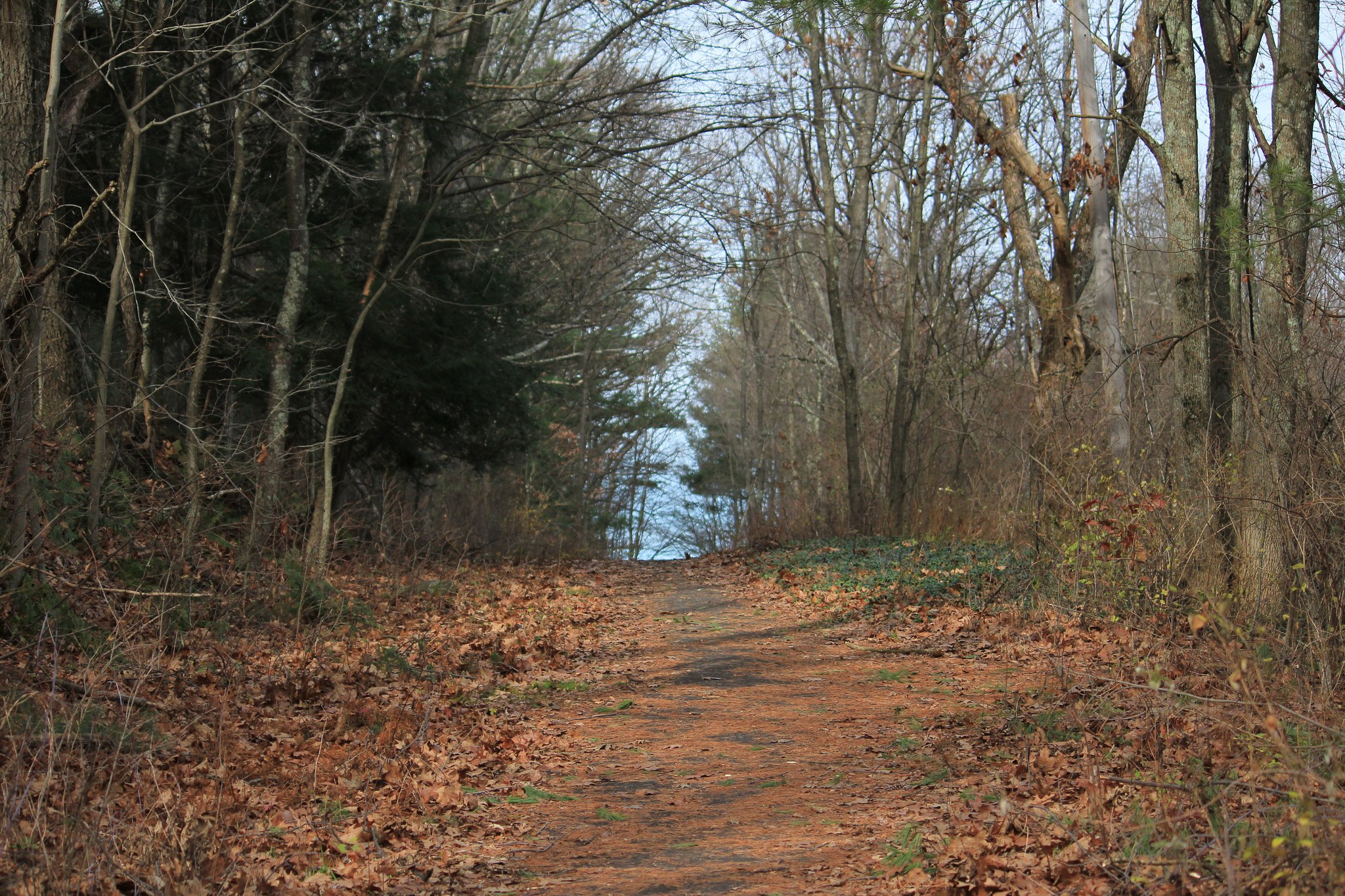 Frances Slocum Park Campground