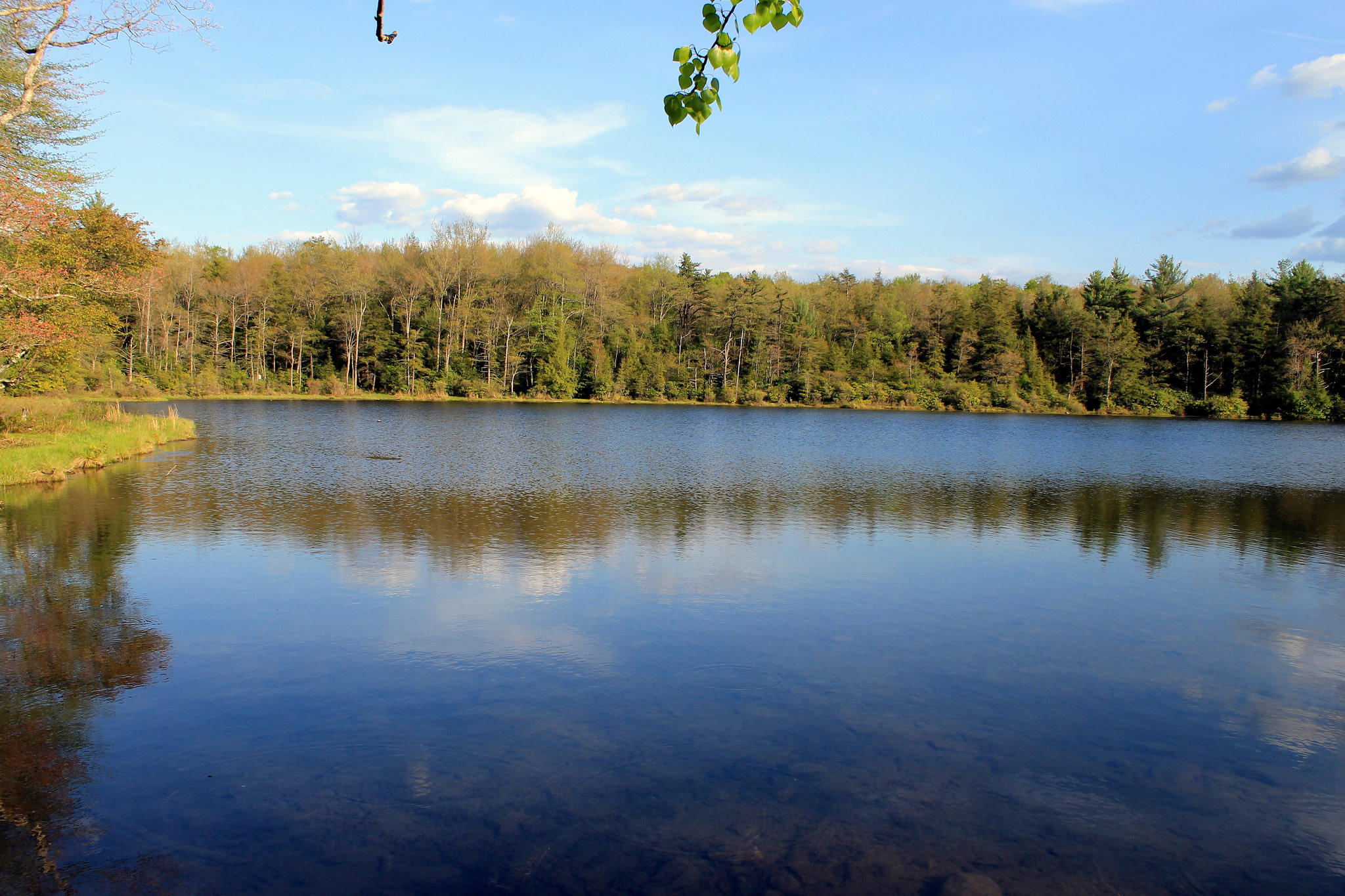 Hickory Run Park Campground