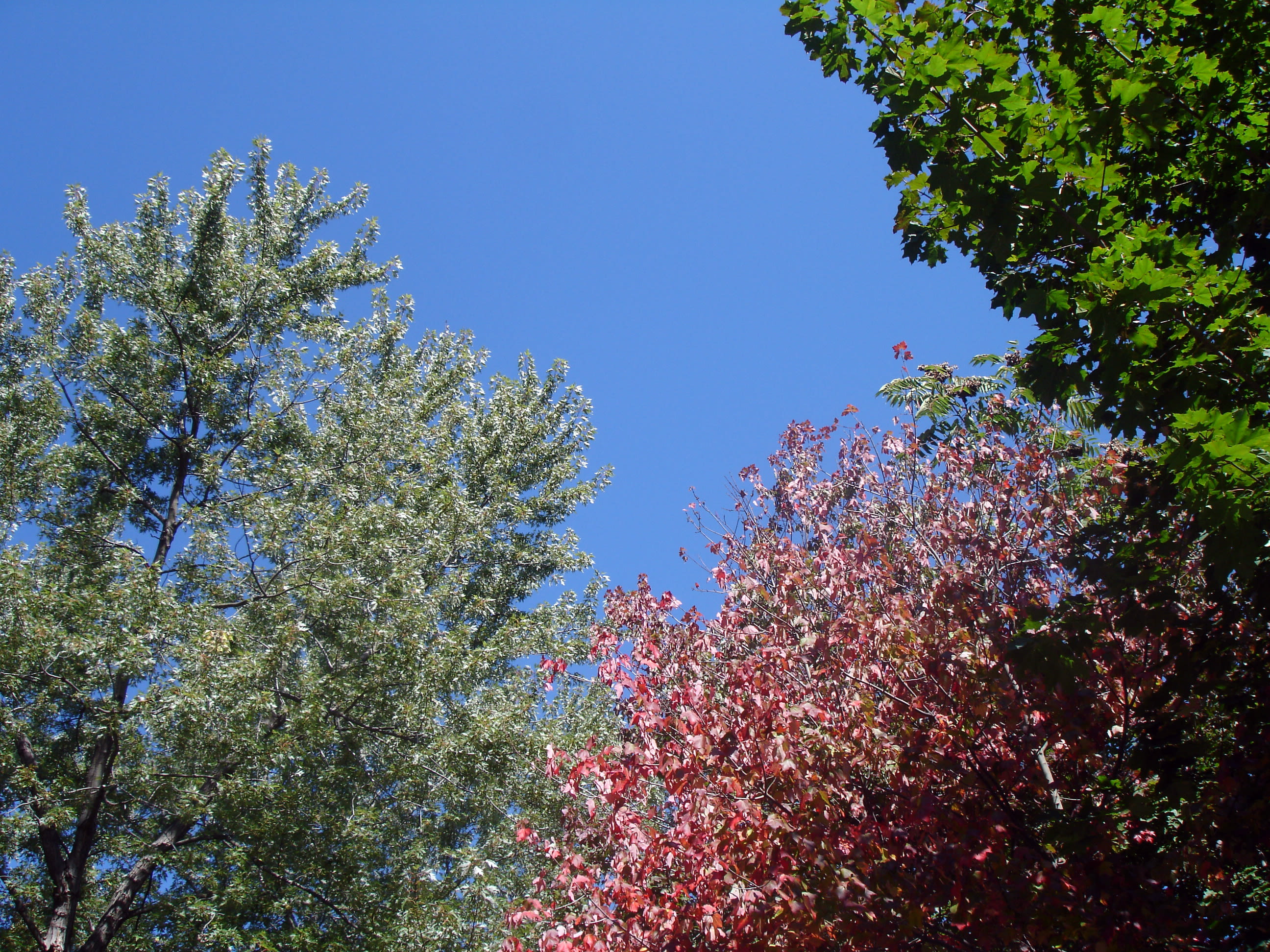 Lackawanna State Park