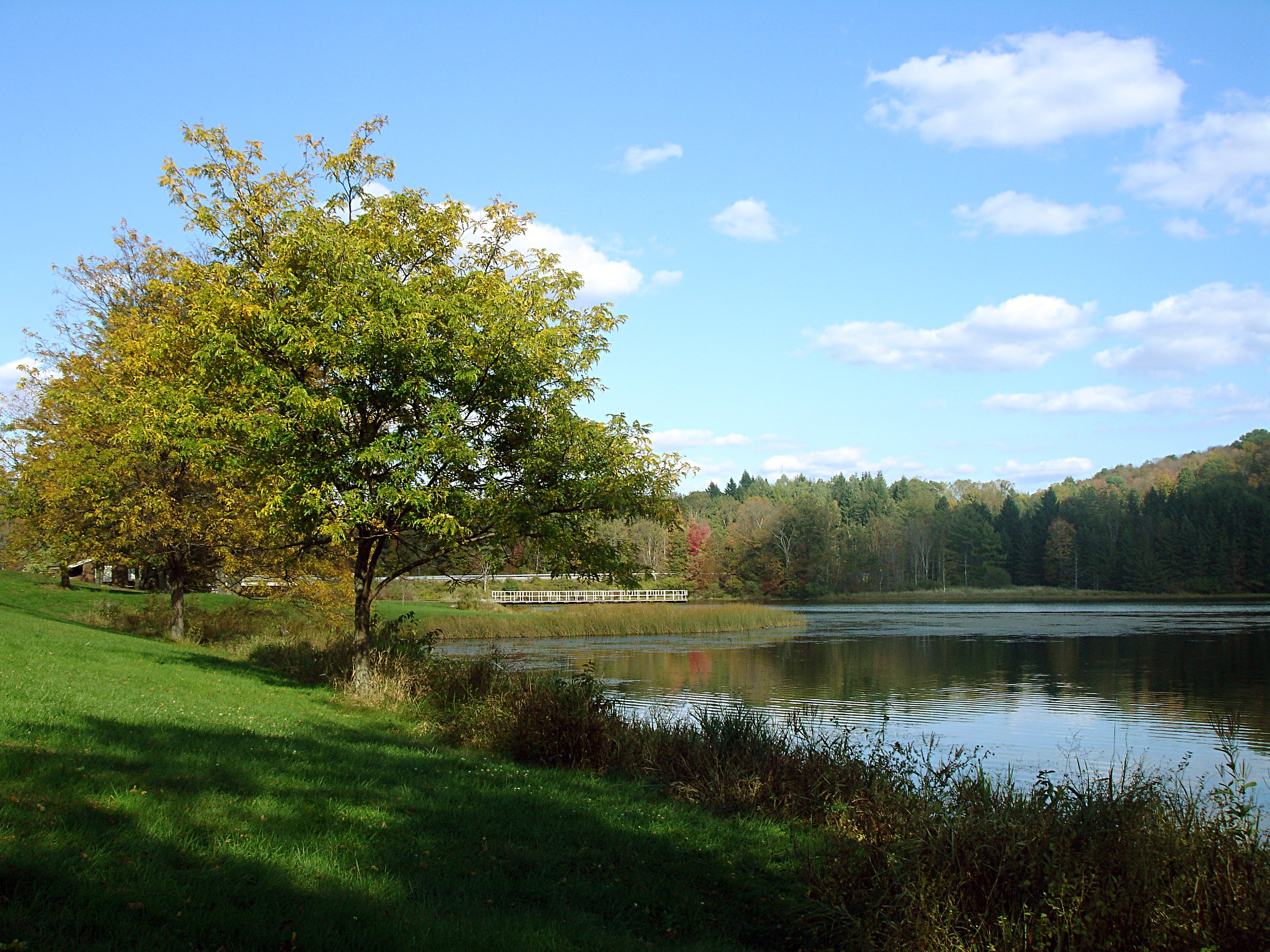 Lackawanna State Park