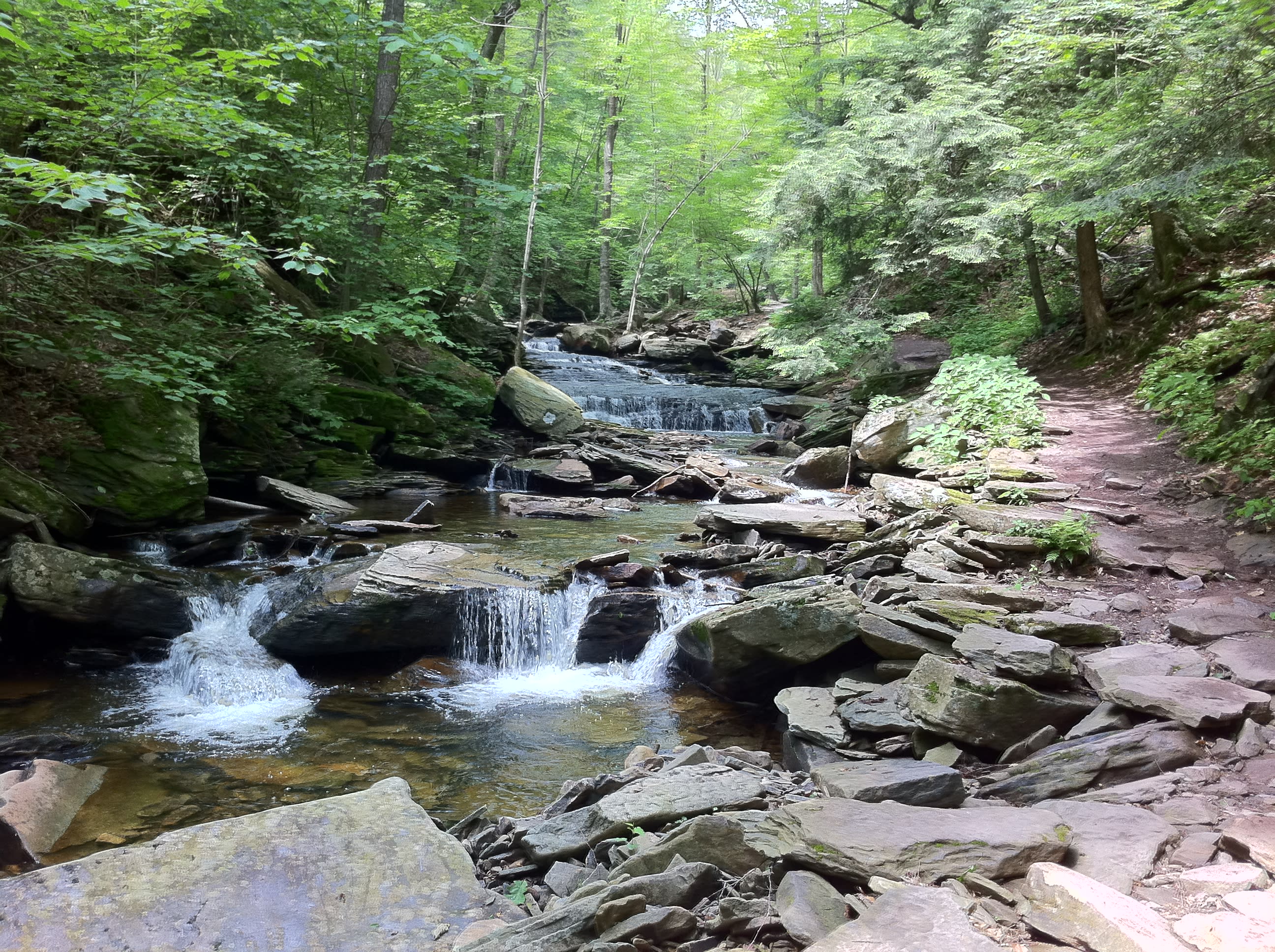 Ricketts Glen Park Campground
