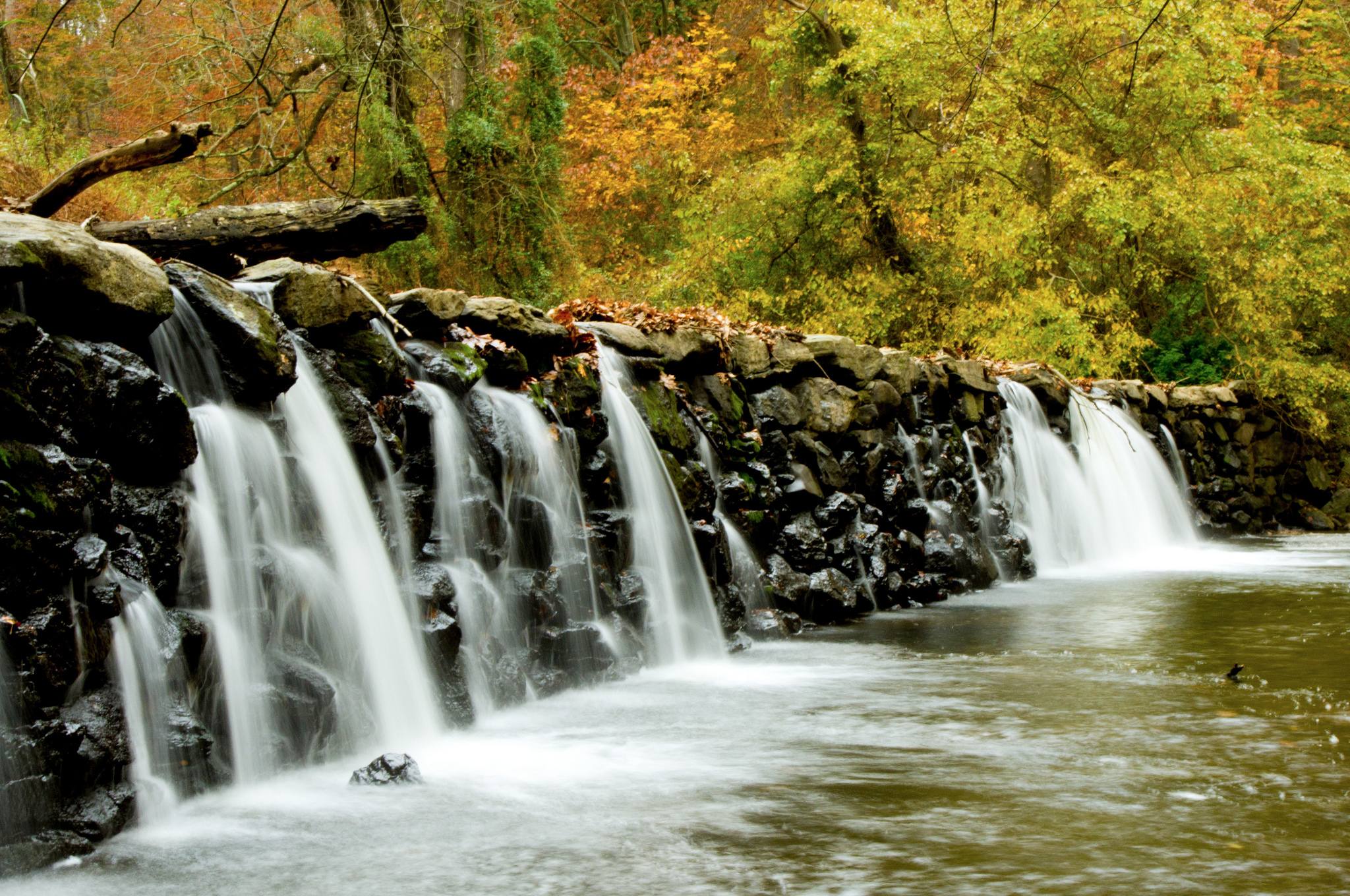 Ridley Creek State Park