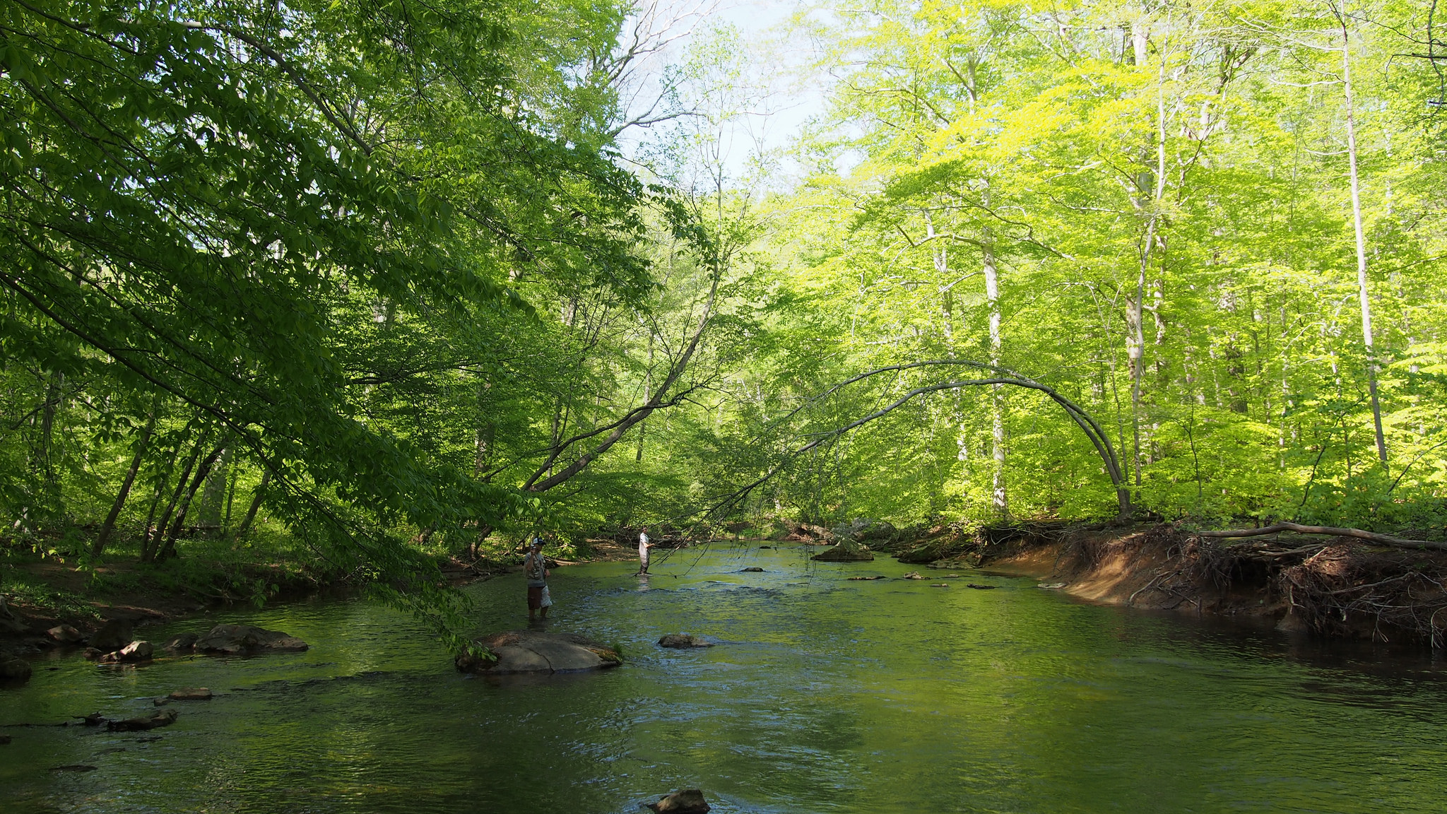 Ridley Creek State Park