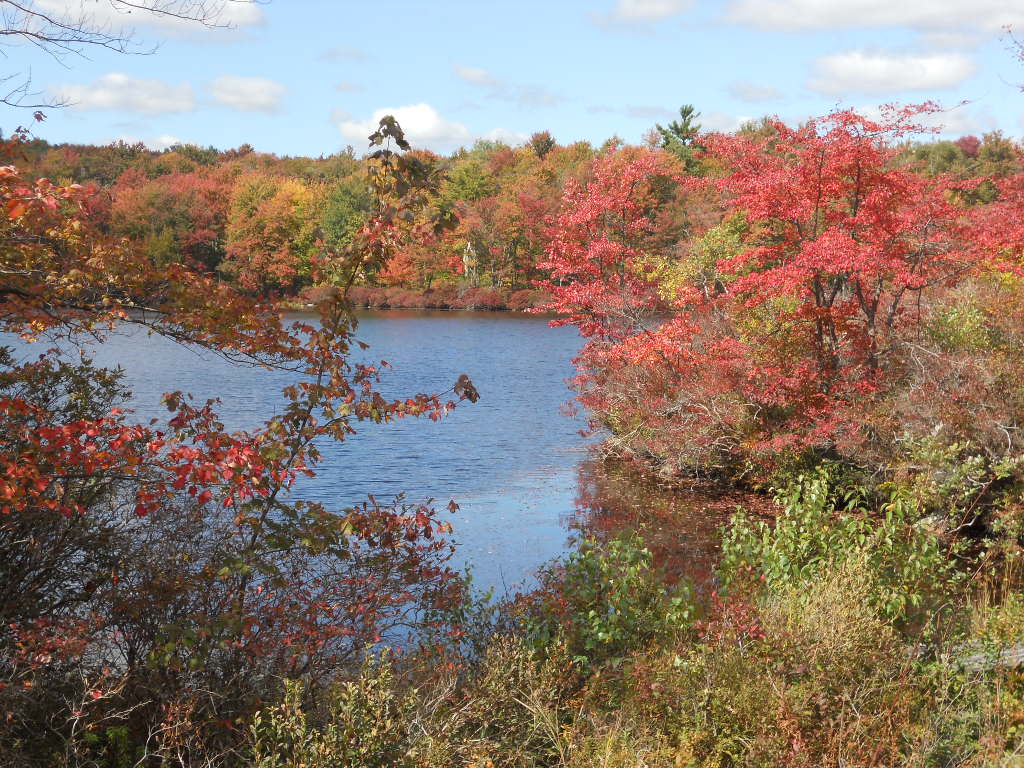 Tobyhanna State Park