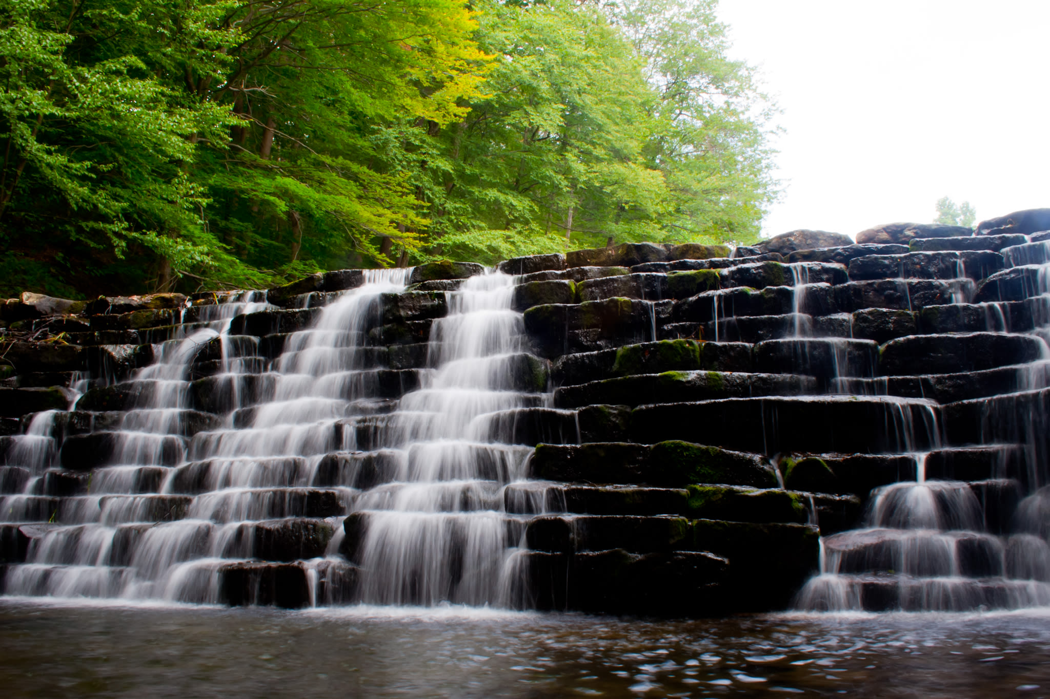Laurel Hill State Park
