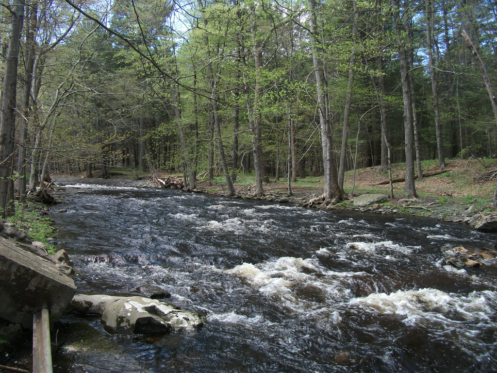 Delaware Water Gap National Recreation Area