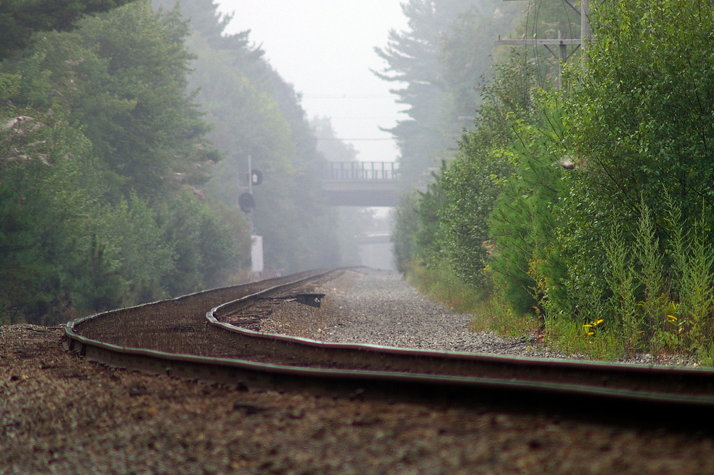 Otter River State Forest