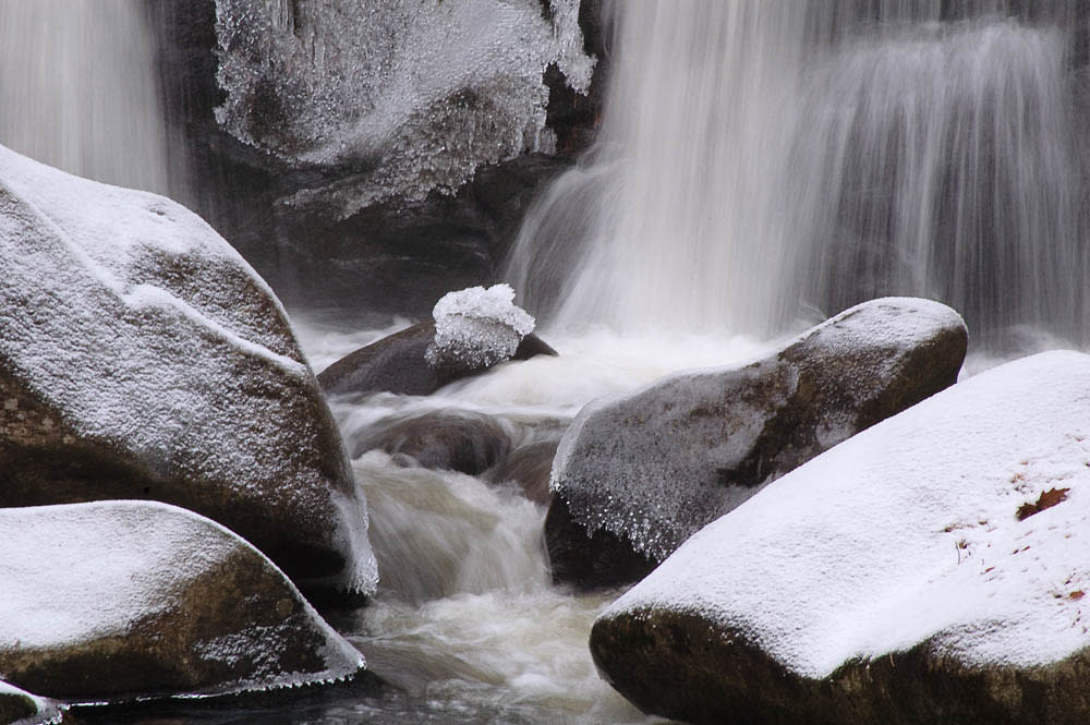 Willard Brook State Forest