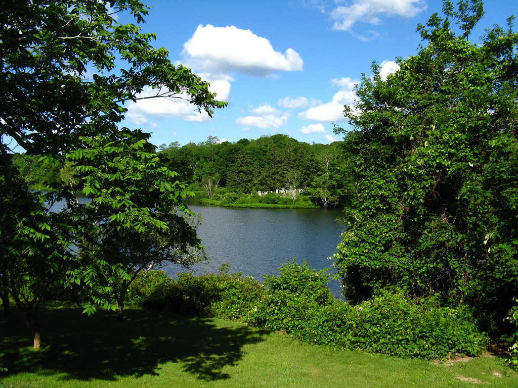 Shawme-Crowell State Forest