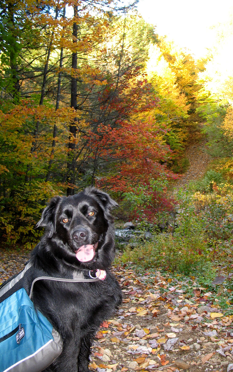 Granville Campground