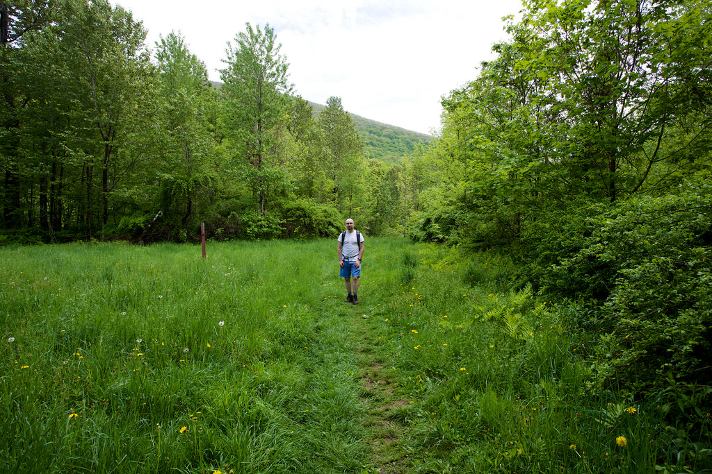 Mount Greylock State Reservation