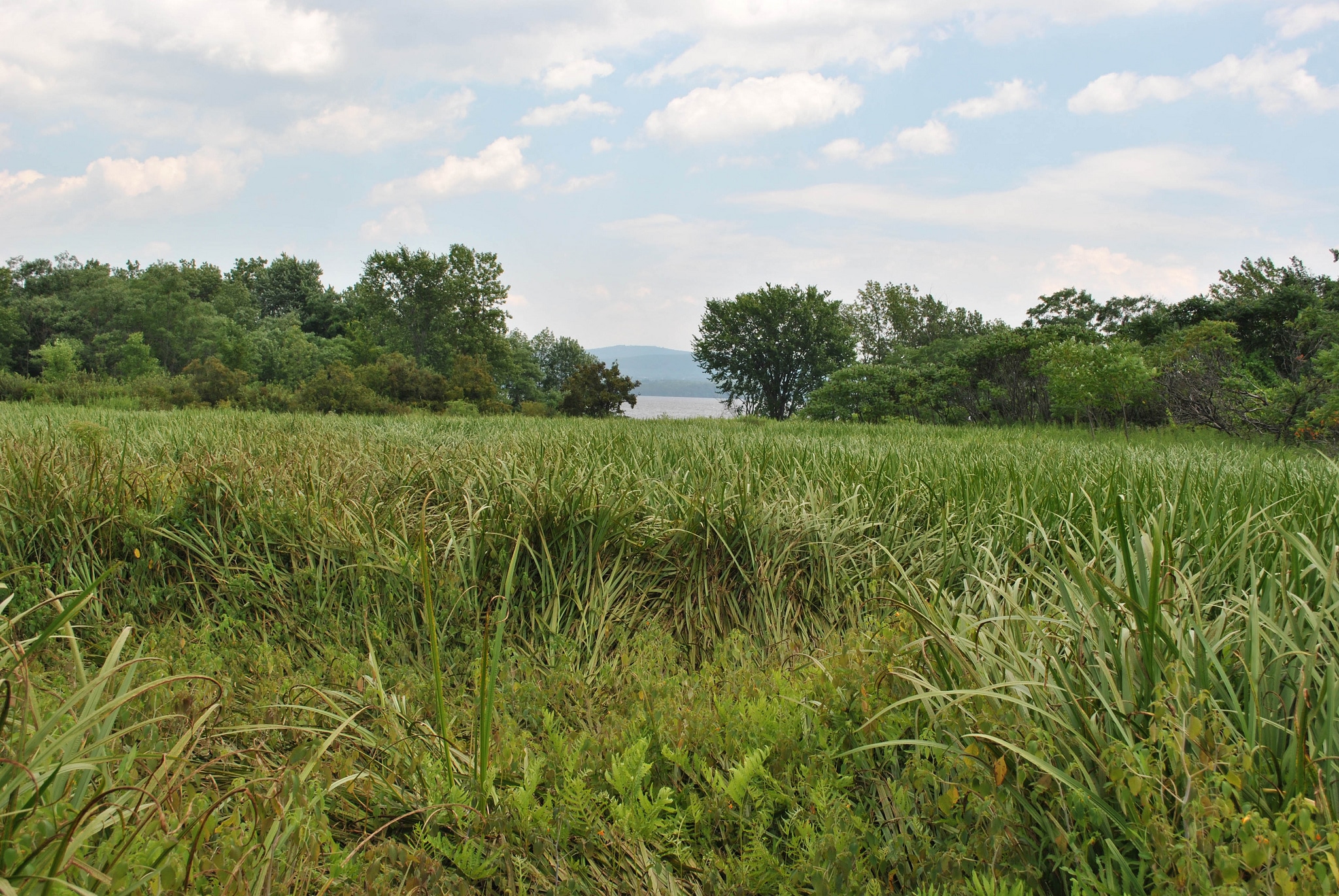 Burton Island State Park