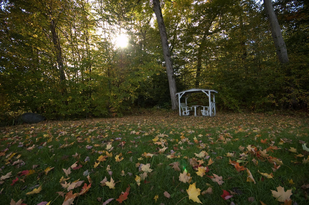 Lake Carmi Campground