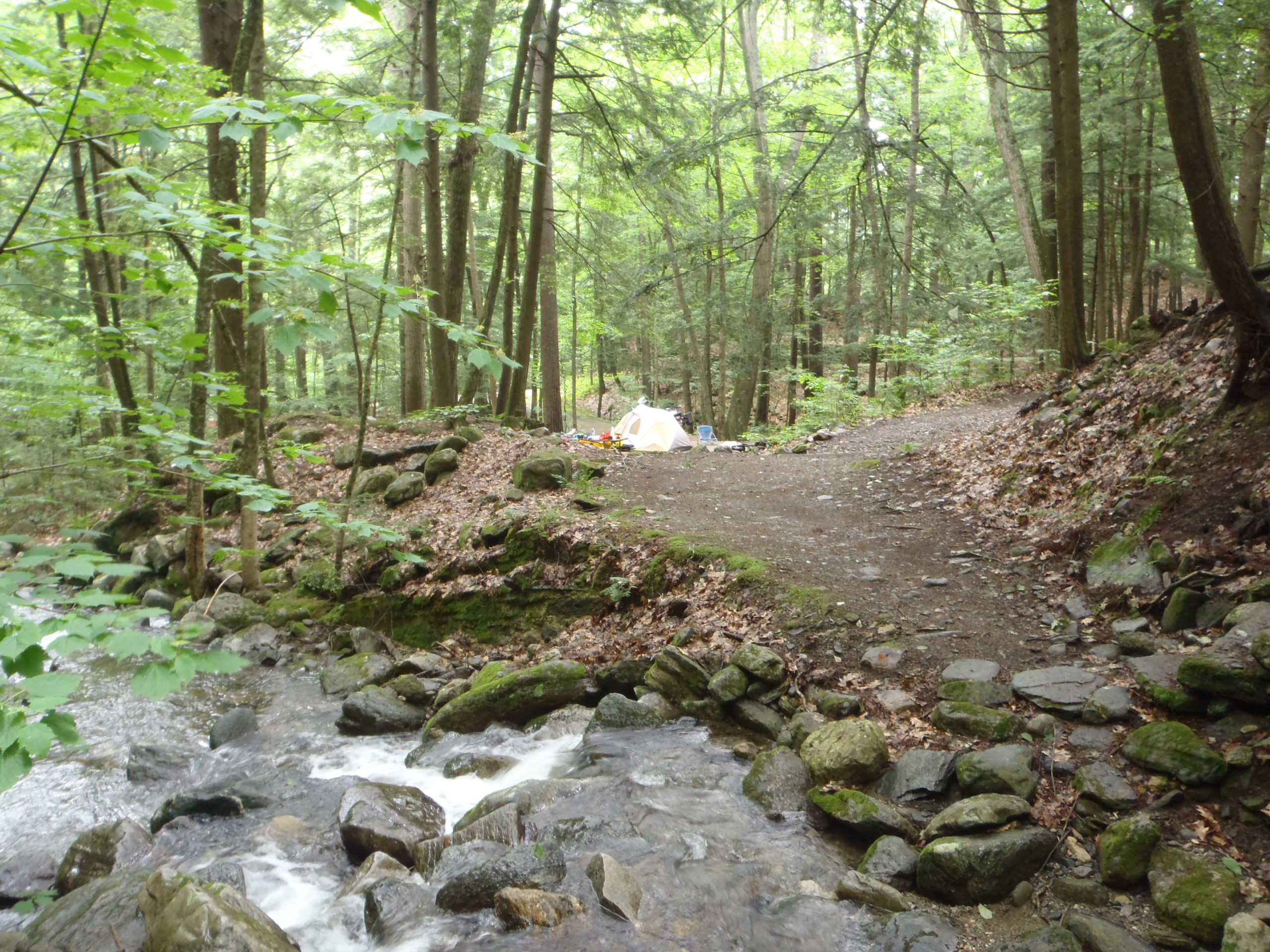 Townshend State Park