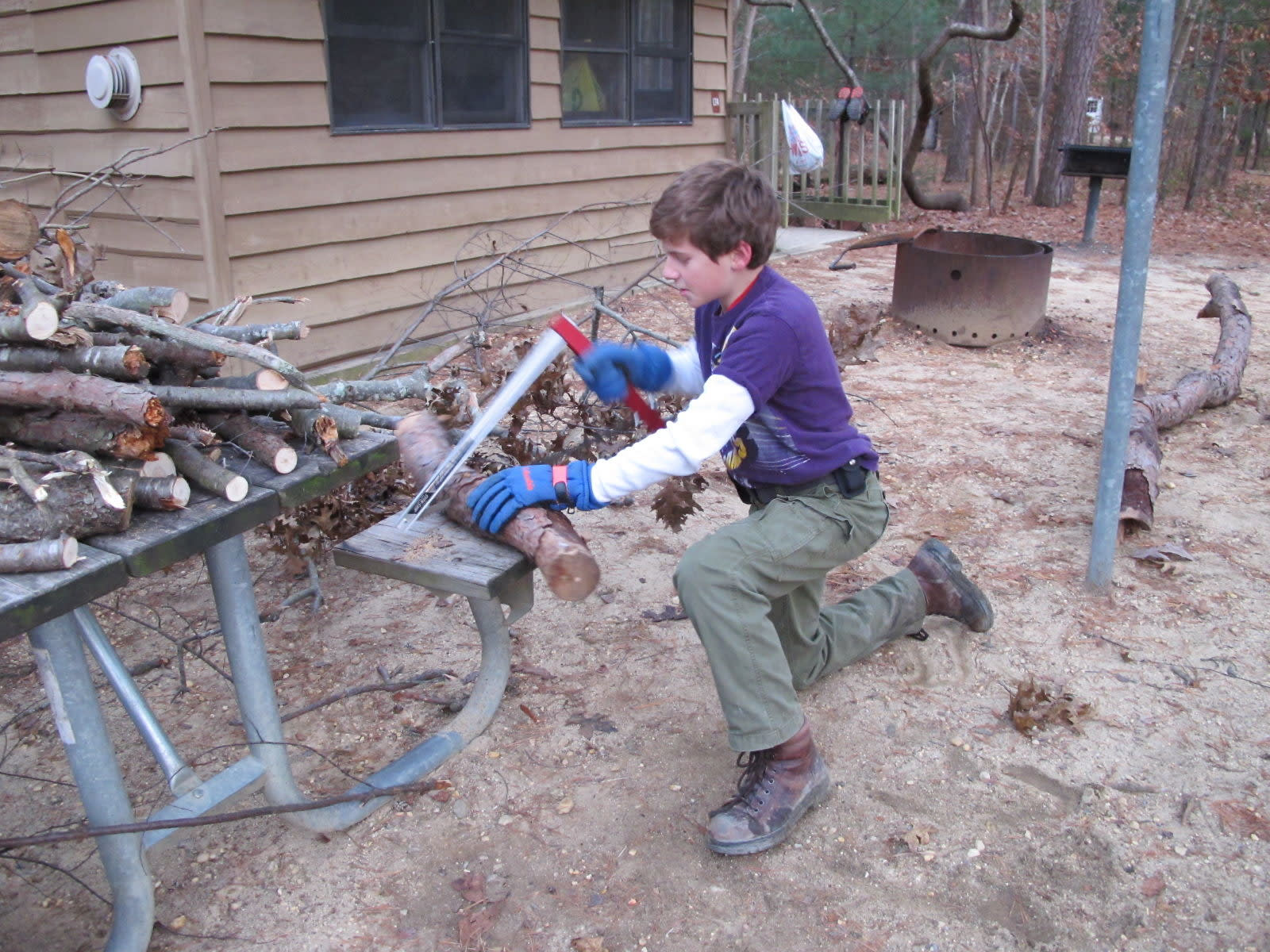 Belleplain State Forest