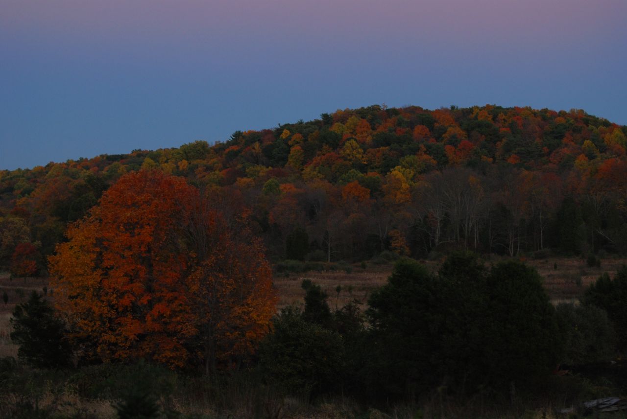 Jenny Jump State Forest