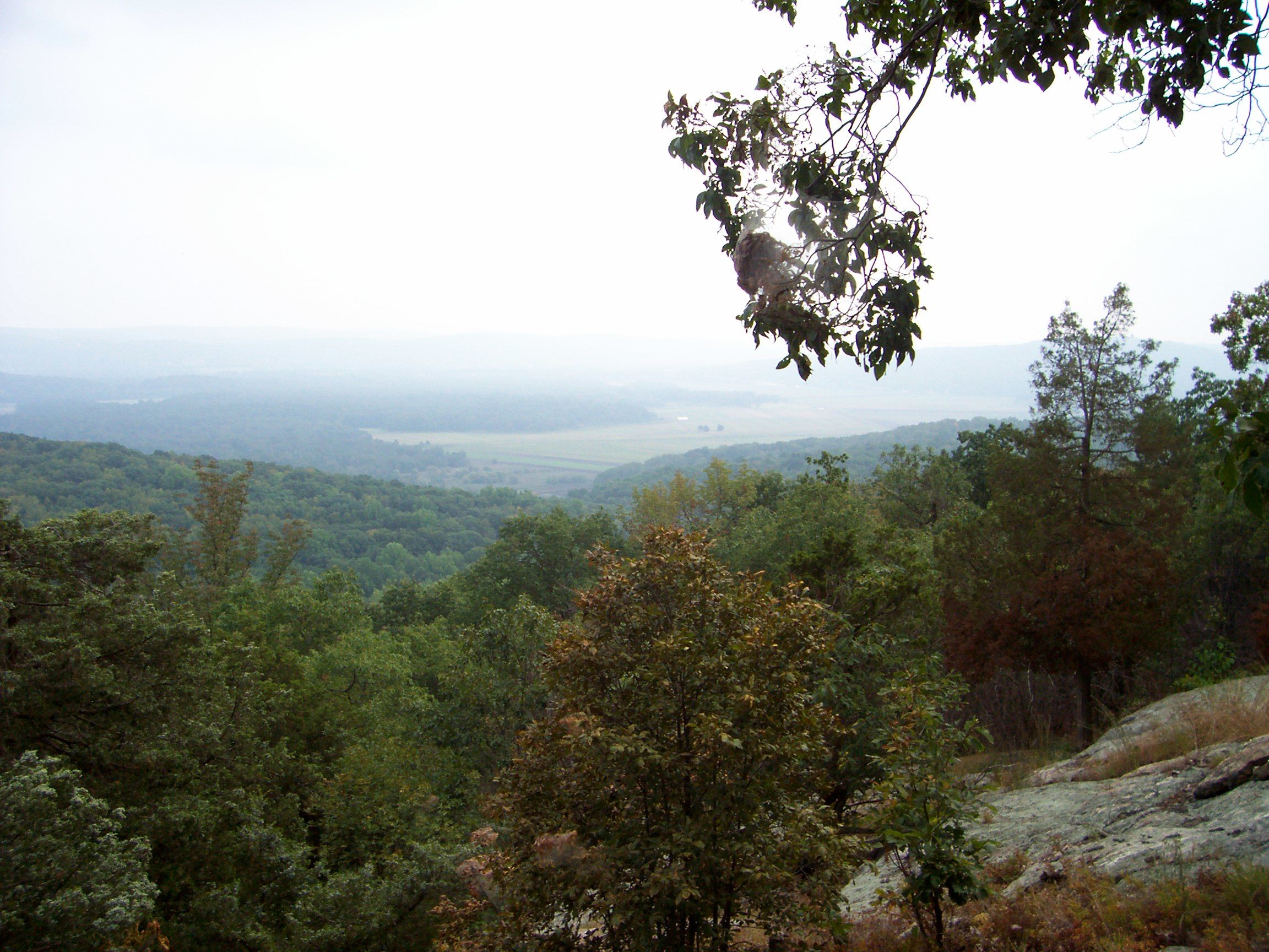 Jenny Jump State Forest