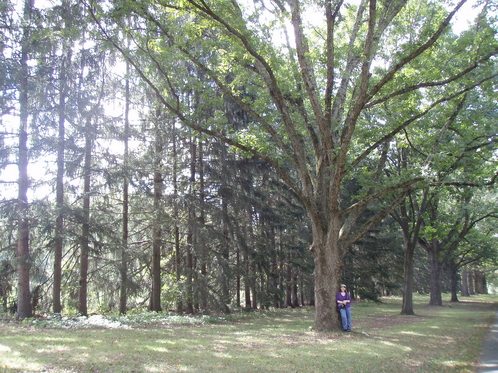 Washington Crossing State Park