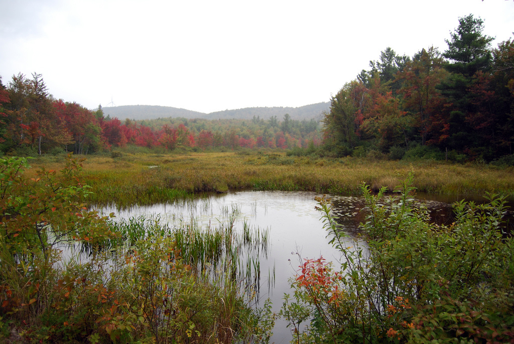 Pillsbury Campground