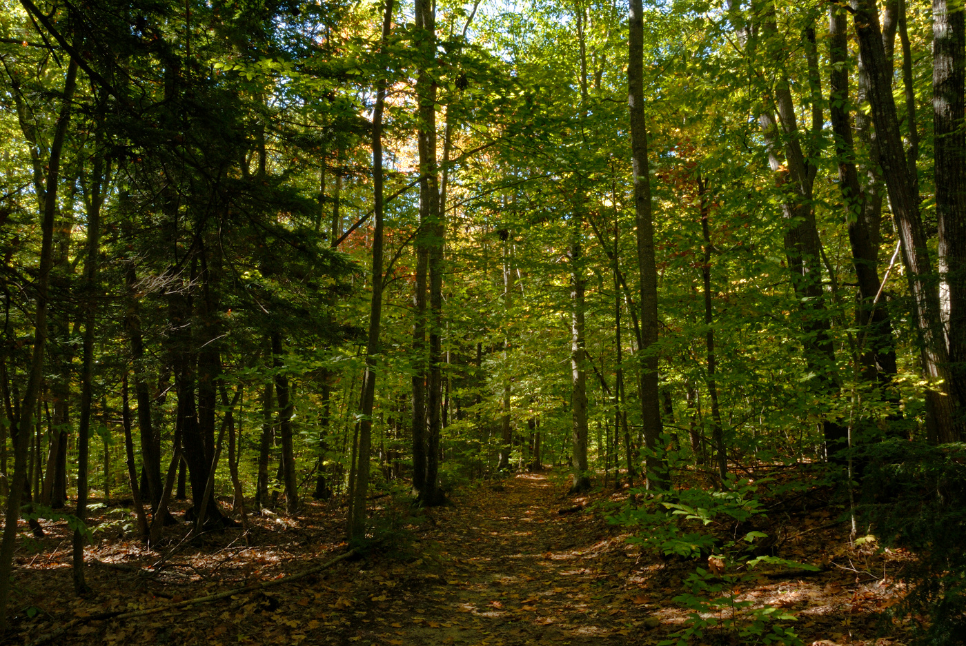 Bradbury Mountain State Park