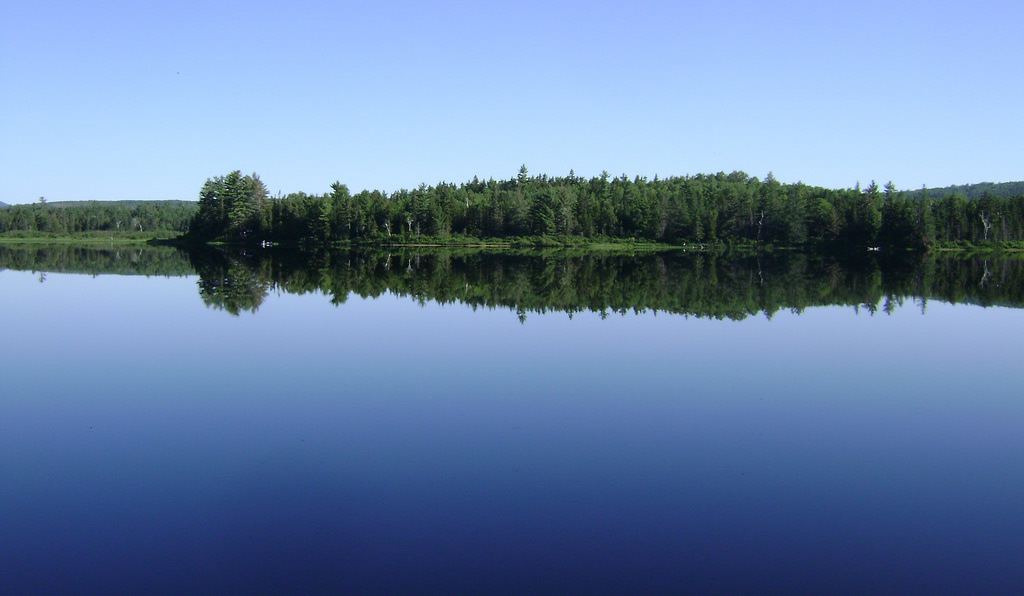Chain of Ponds Campground