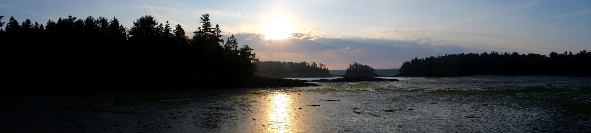 Cobscook Bay Campground