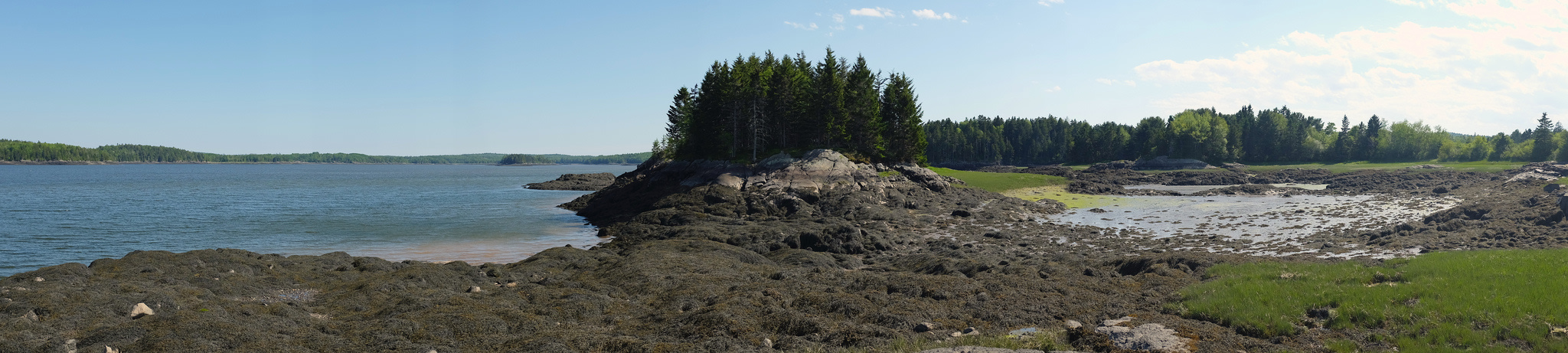 Cobscook Bay State Park