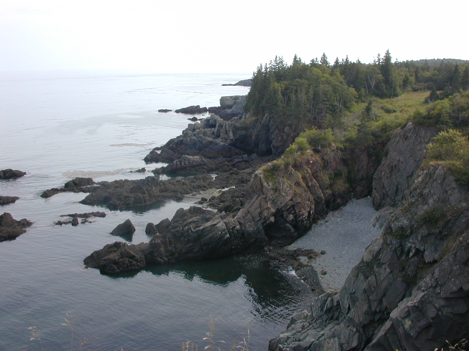 Cutler Coast Campground