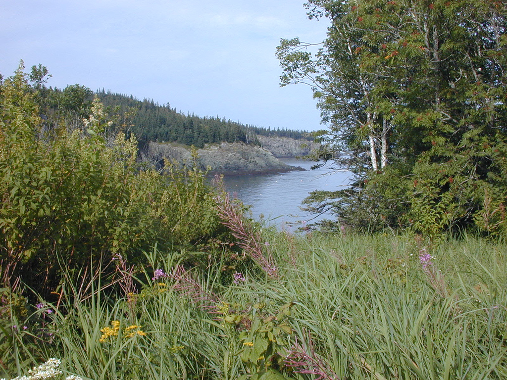 Cutler Coast Public Reserved Land