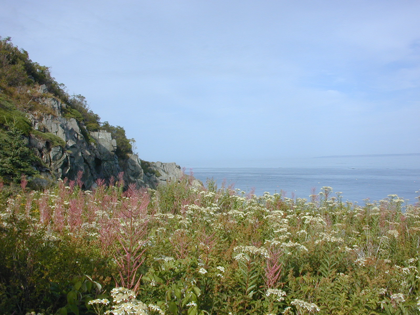 Cutler Coast Public Reserved Land