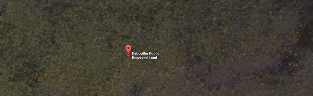 Deboullie Campground