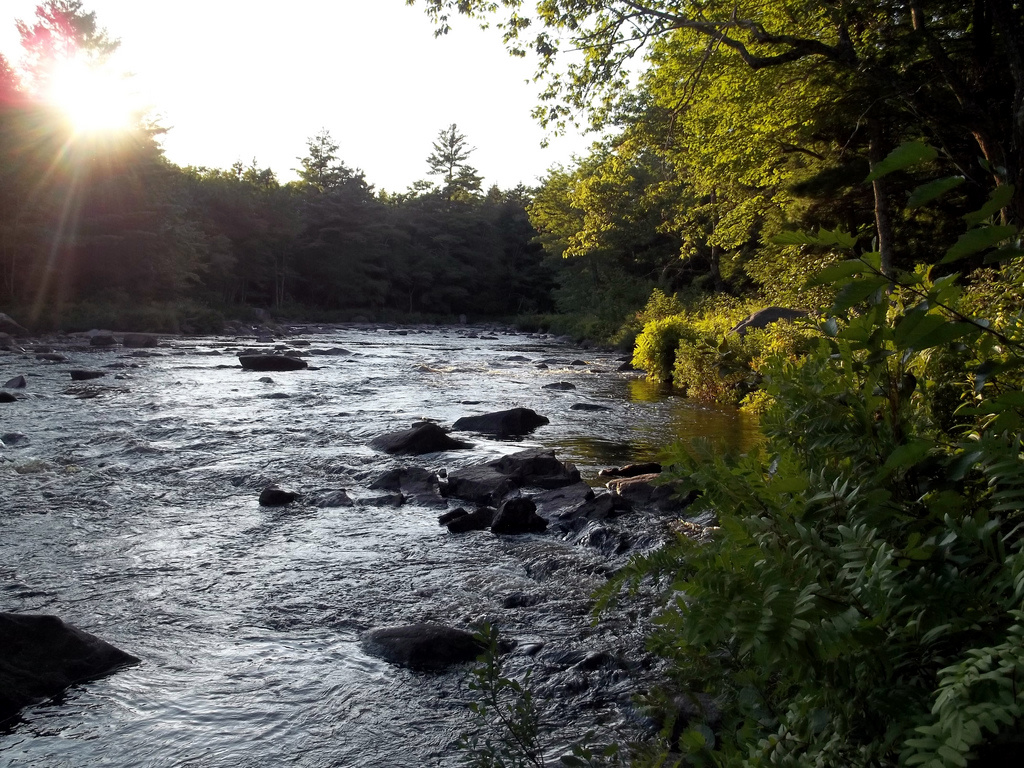 Machias River Corridor