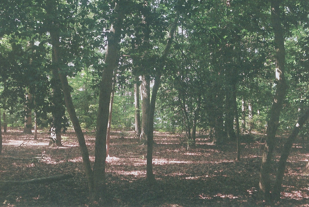 Killens Pond Campground