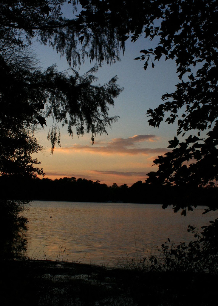 Trap Pond Campground